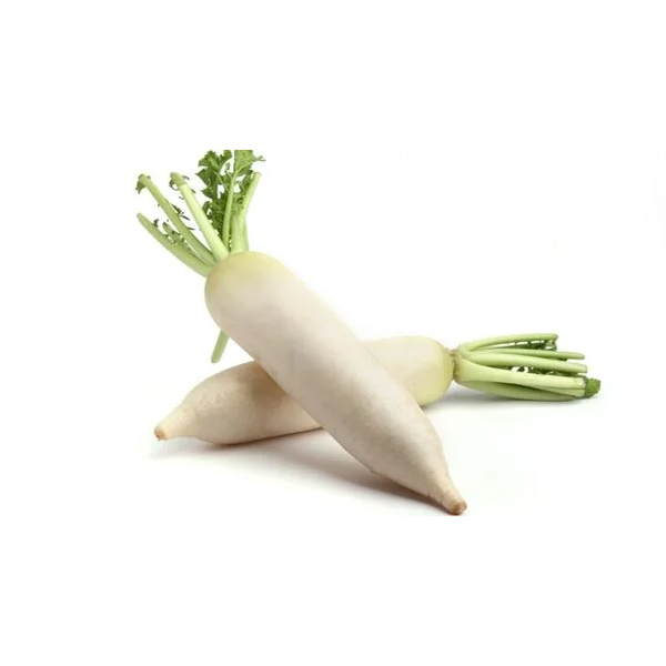 Moli.jpg Fresh Moli (Radish) – Crisp, Nutritious & Healthy Vegetables 1uni - Image 1